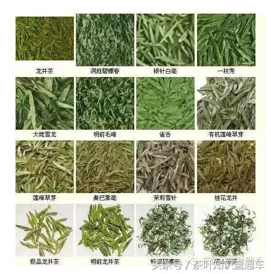 中国茶分类红茶绿茶花草茶养生茶,中国六大类茶排名