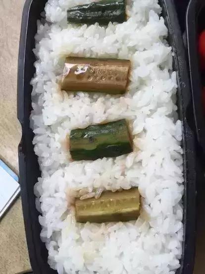 日本网友晒超可怕“恶妻便当”,这碗独特的狗粮你Get到了吗？