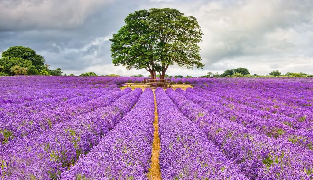 生命中就会充满阳光,生命中一旦有了某种期待