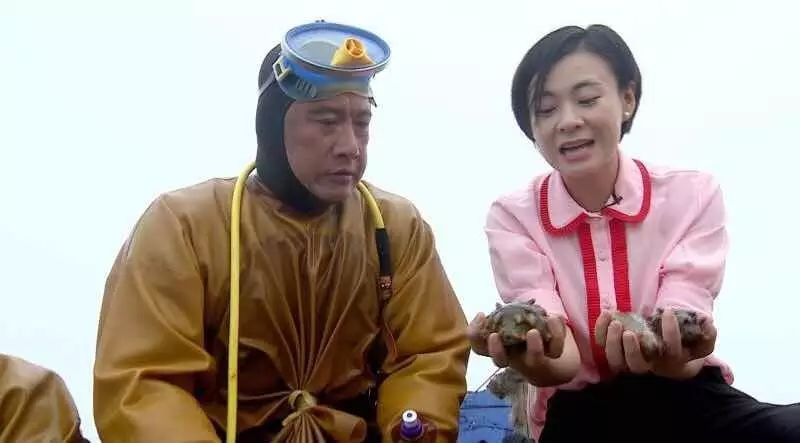 芝罘岛秦始皇,长岛最原始的岛