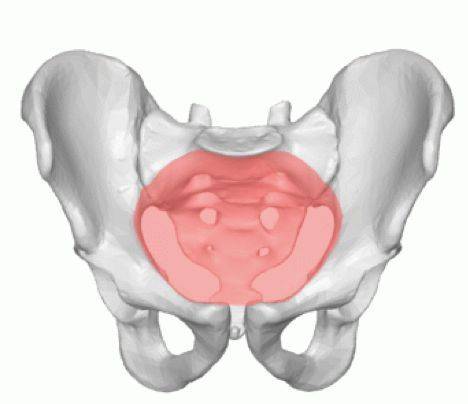剖宫产和顺产选择,剖宫产好还是自愿生产好