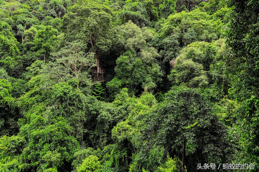 泰国清迈拜县攻略,泰国清迈县自由行攻略