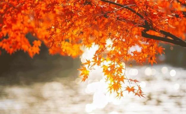 定了！上海又一条铁路获批，30min到湖州，还连接起了苏州！