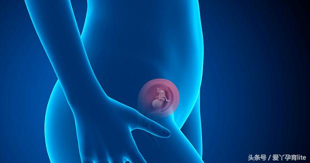 准妈妈孕十月养胎攻略