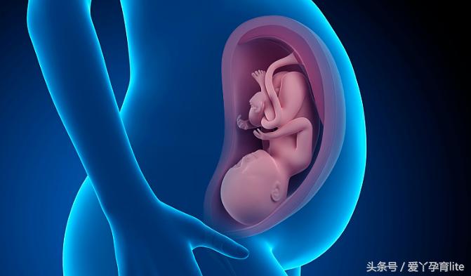 准妈妈孕十月养胎攻略