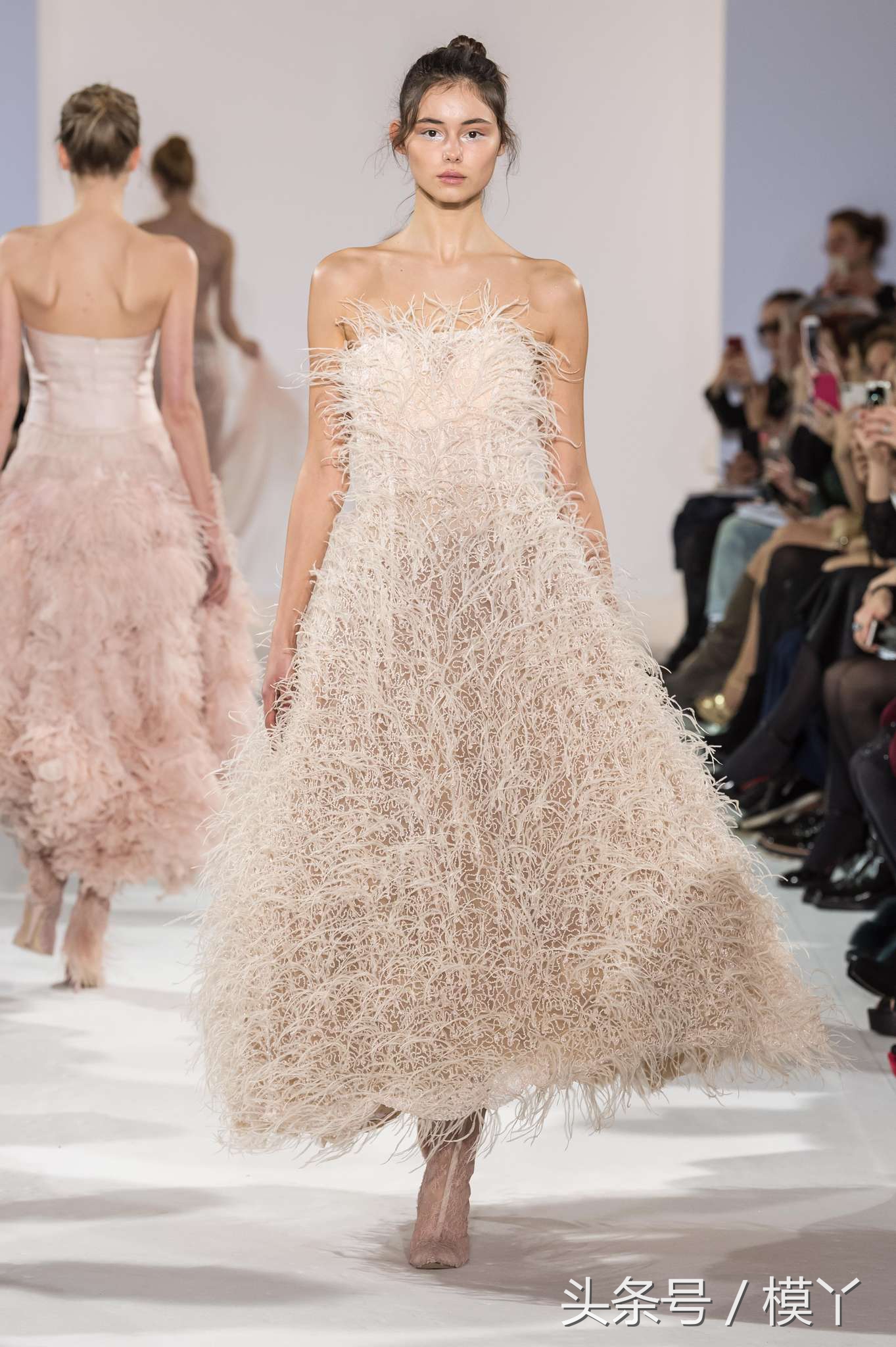 celiakritharioti楂樺畾,celiakritharioti濠氱罕