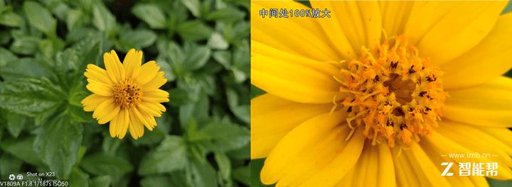 vivox23全面评测,vivox23个人评测别无他意