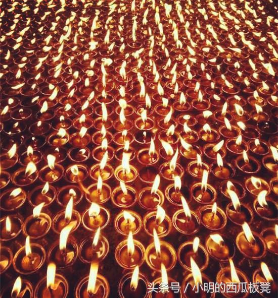 26种死法：上帝之鞭为何不能横扫非洲