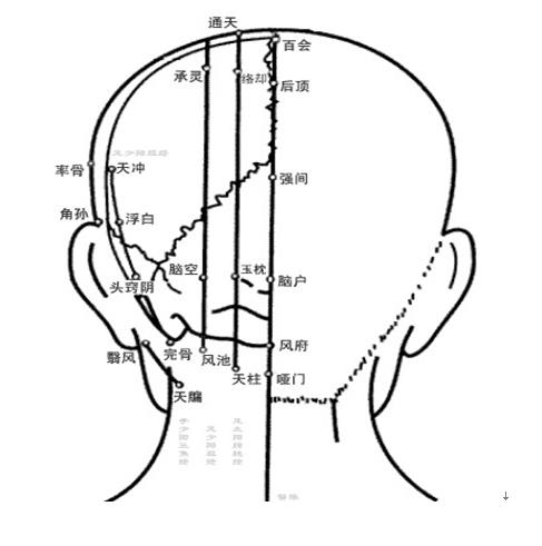 有哪些常见病用到中医穴位,42条实用穴位干货