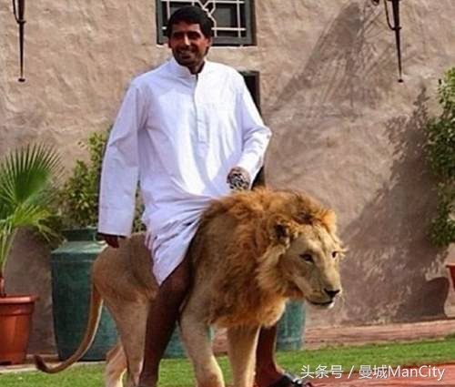 中东土豪投资欧洲足球怎么赚钱,中东土豪投资中国多少钱