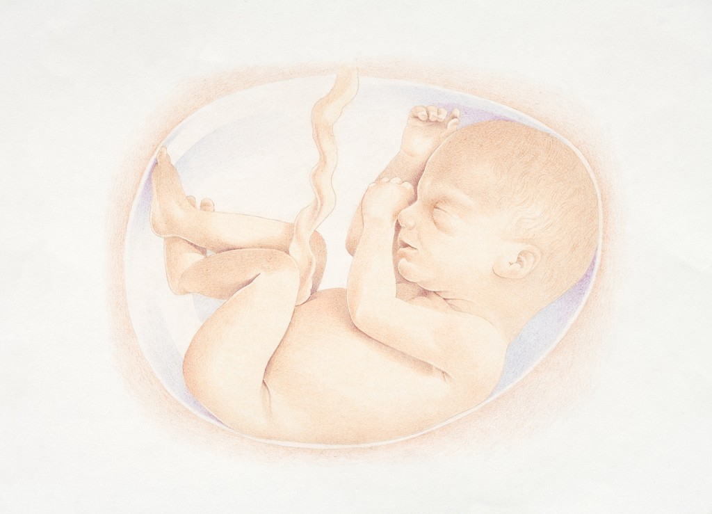 出现这4种情况可能是胎停的表现，要及时去医院就诊