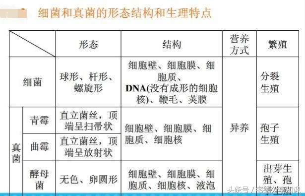 八年级上册地理生物知识,八年级上册生物知识与能力答案