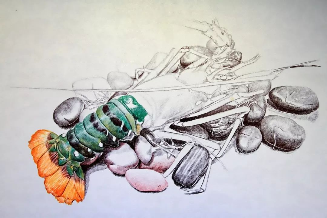 八大圆珠笔,顶级圆珠笔画欣赏