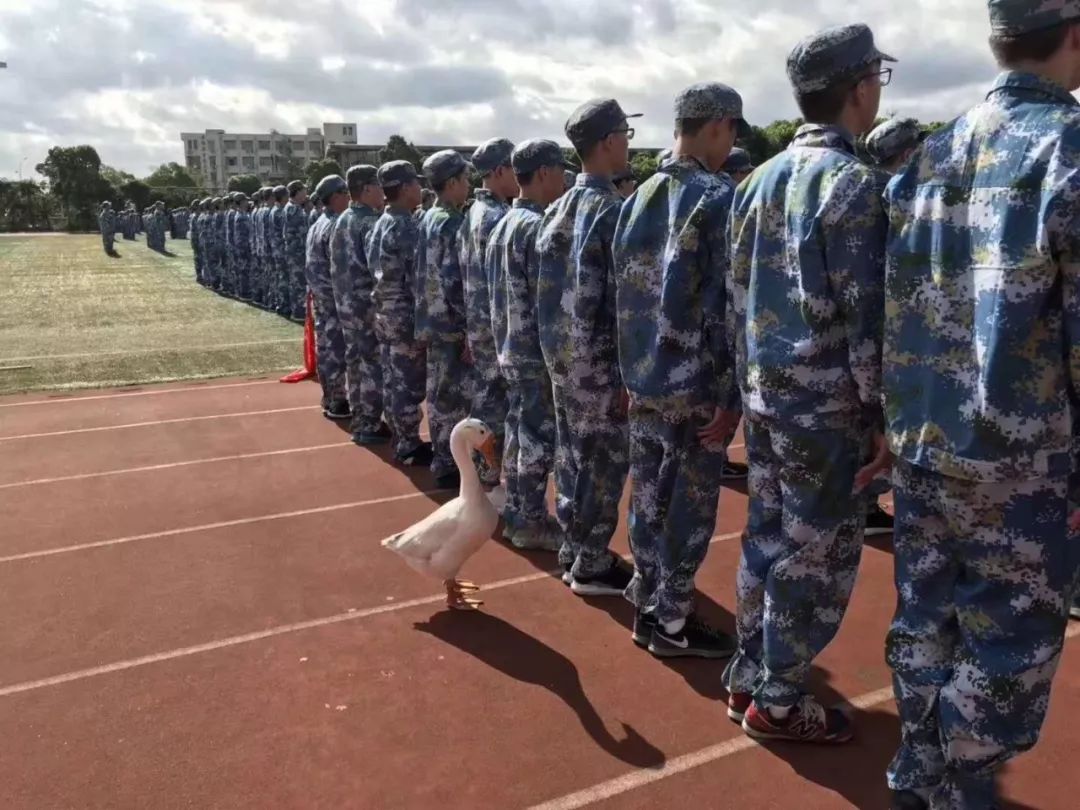 无锡天一和省锡中哪个好,无锡大桥高中和天一高中哪个好