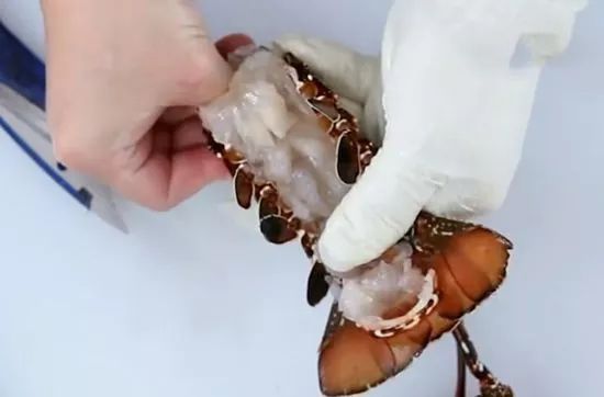 如何处理龙虾才是正确方法,龙虾活虾怎么处理最快又干净