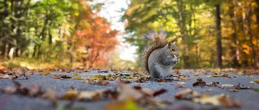 血糖高能引起皮肤干燥瘙痒吗,血糖引起的皮肤瘙痒怎么治疗