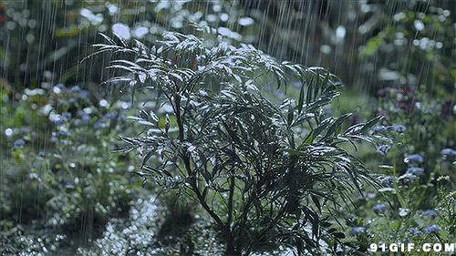 高低温试验箱的原理及使用,高低温试验箱的工作原理
