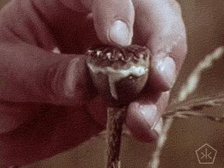 拜耳代表性药物,拜耳有哪些药