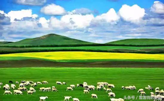 上海特产必买清单一览表,各地特产礼品一览表