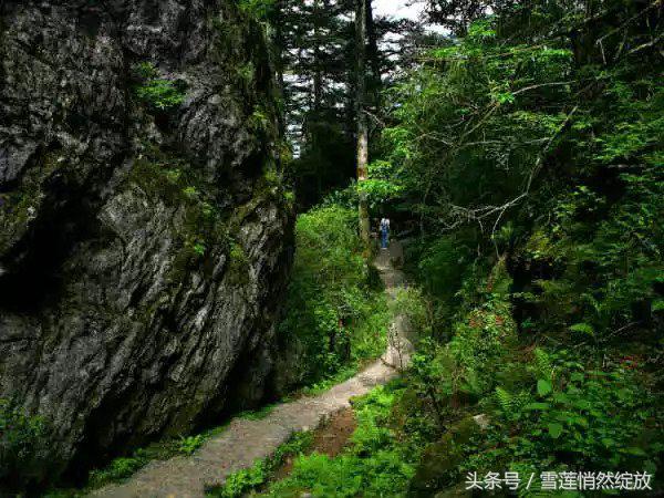 上海特产必买清单一览表,各地特产礼品一览表
