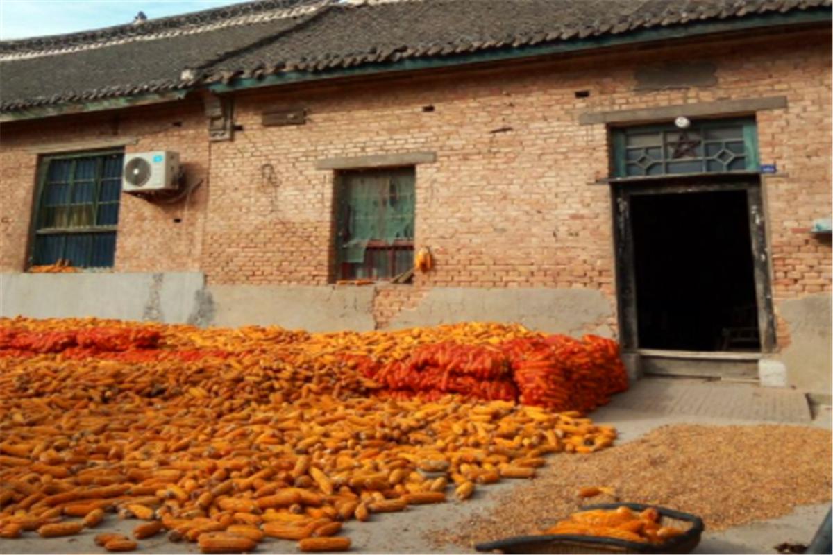 门前迟行迹中的迟是什么意思,农村老话财不进偏门啥意思