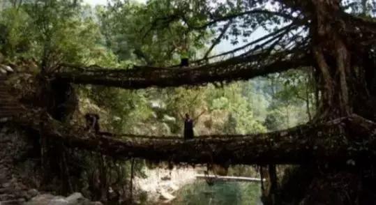 桥梁设计的冷知识,桥梁设计的规范与图集