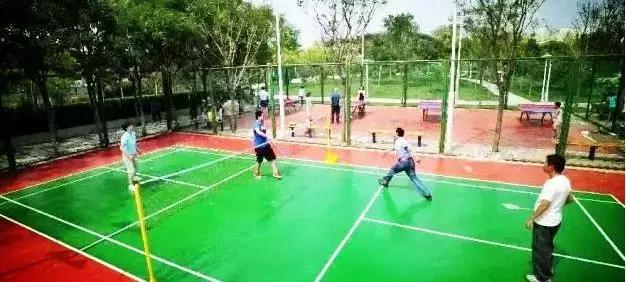 沙坪坝今日关注,沙坪坝人