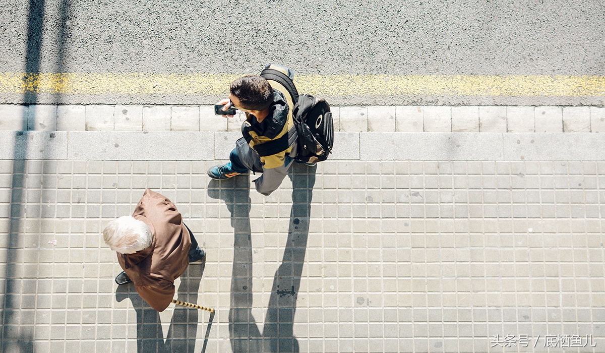 好养又皮实的小型鱼,比较抗活的小型鱼