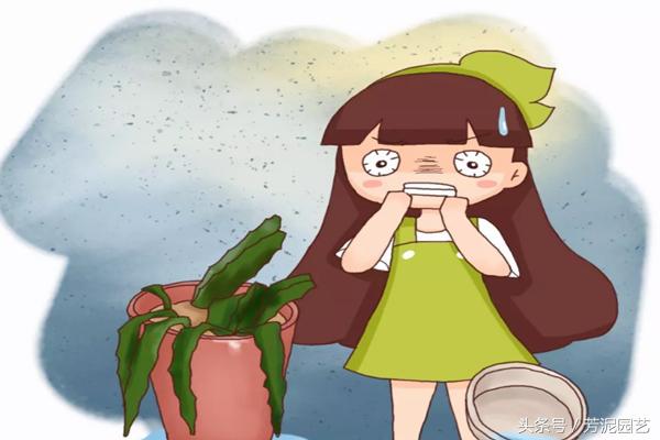 蔬菜淘米水过期牛奶放一起发酵,牛奶浇淘米水的禁忌