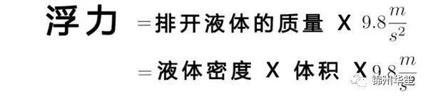 「趣味物理」为什么说物理成绩好的人,篮球也打的更好?