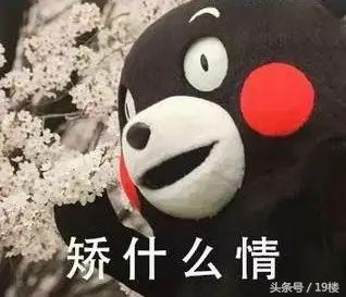 浙江网红被交警查 (网红炫富被警察抓)