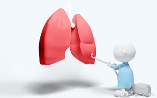 怀孕十月宝宝发育图表,十月怀胎宝宝生长过程视频