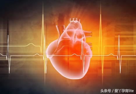 怀孕十月宝宝发育图表,十月怀胎宝宝生长过程视频