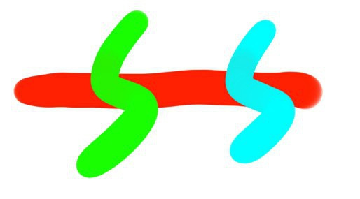 sai鏂版墜鍏ラ棬缁樼敾鏁欑▼,sai缁樼敾杞欢纭欢瑕佹眰