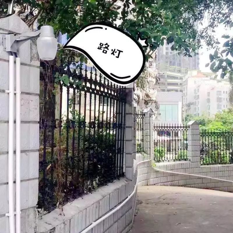 珠海香洲,背街小巷也漂亮