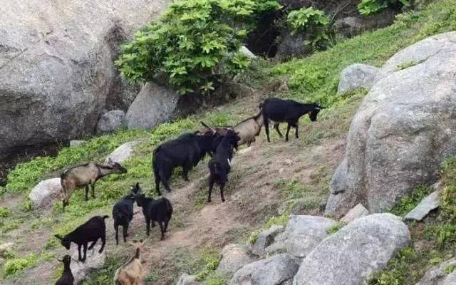 小众的海边小渔村,河北港渔村