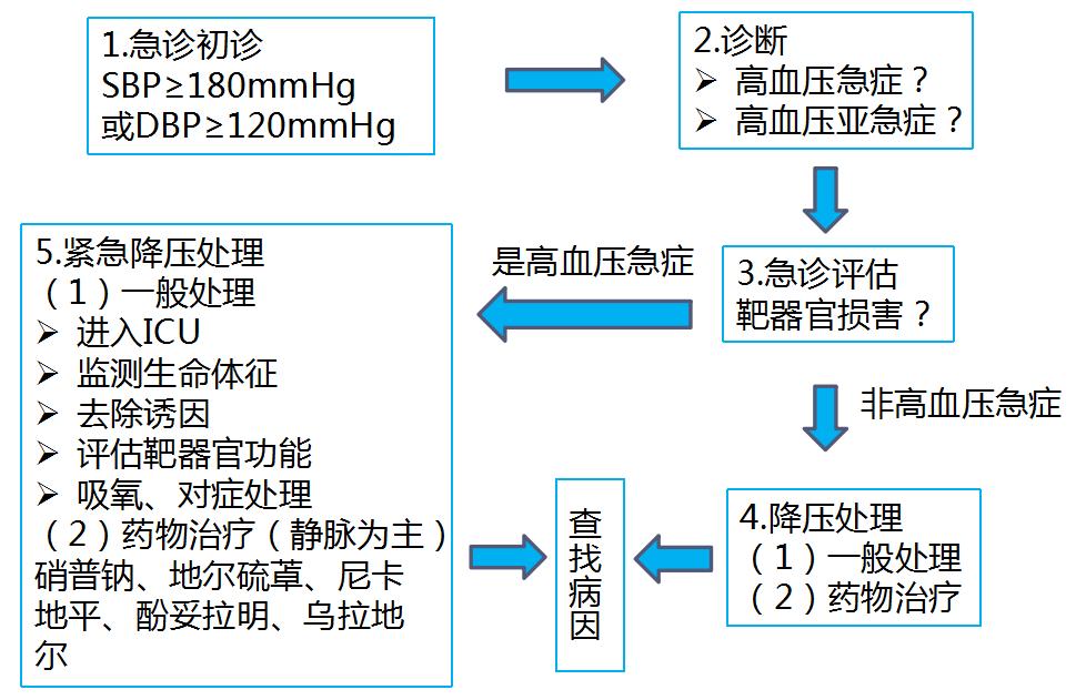 老年人高血压急症处理原则,简述高血压急症的护理措施
