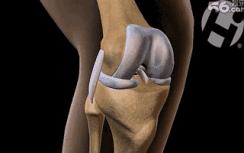 不要等生病了才健身,如果没有伤病打球要不要戴护膝