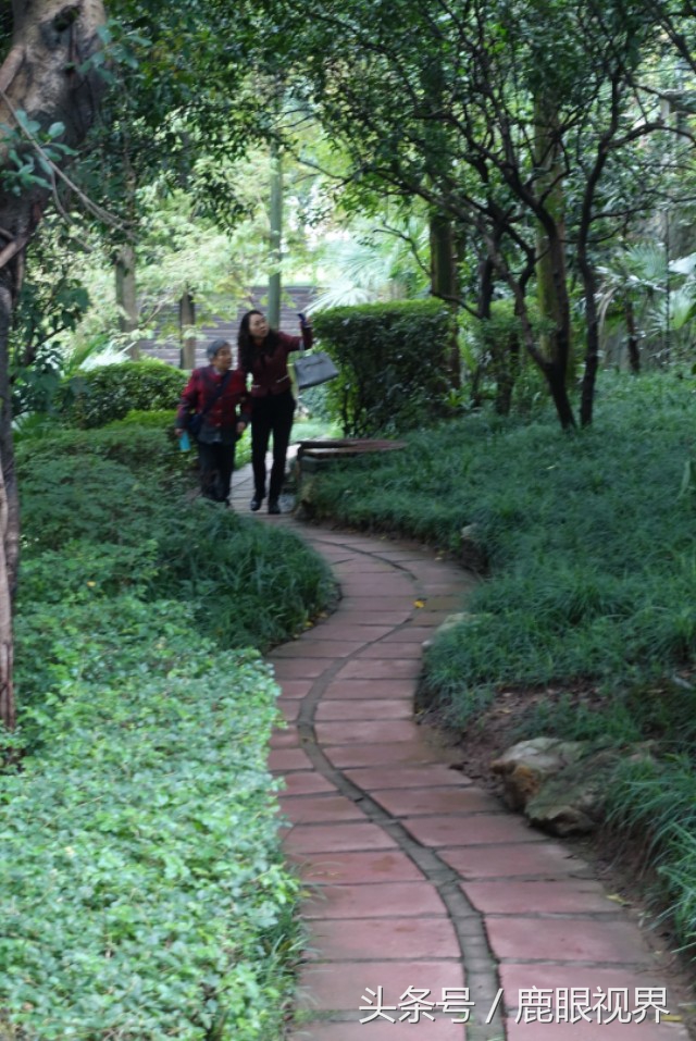 重庆龙湖最漂亮的楼盘,重庆龙湖花园老照片