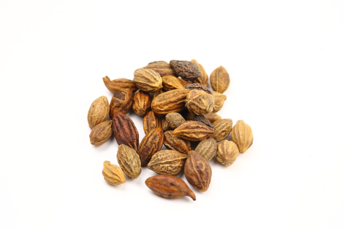 中草药诃子,中药材诃子最新价格现在是多少