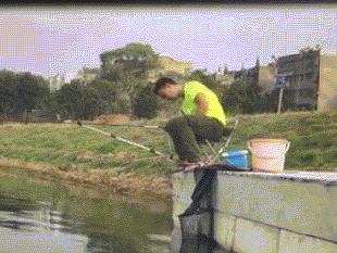 鳄鱼吃鳄鱼的视频搞笑,鳄鱼吃鳄鱼搞笑视频