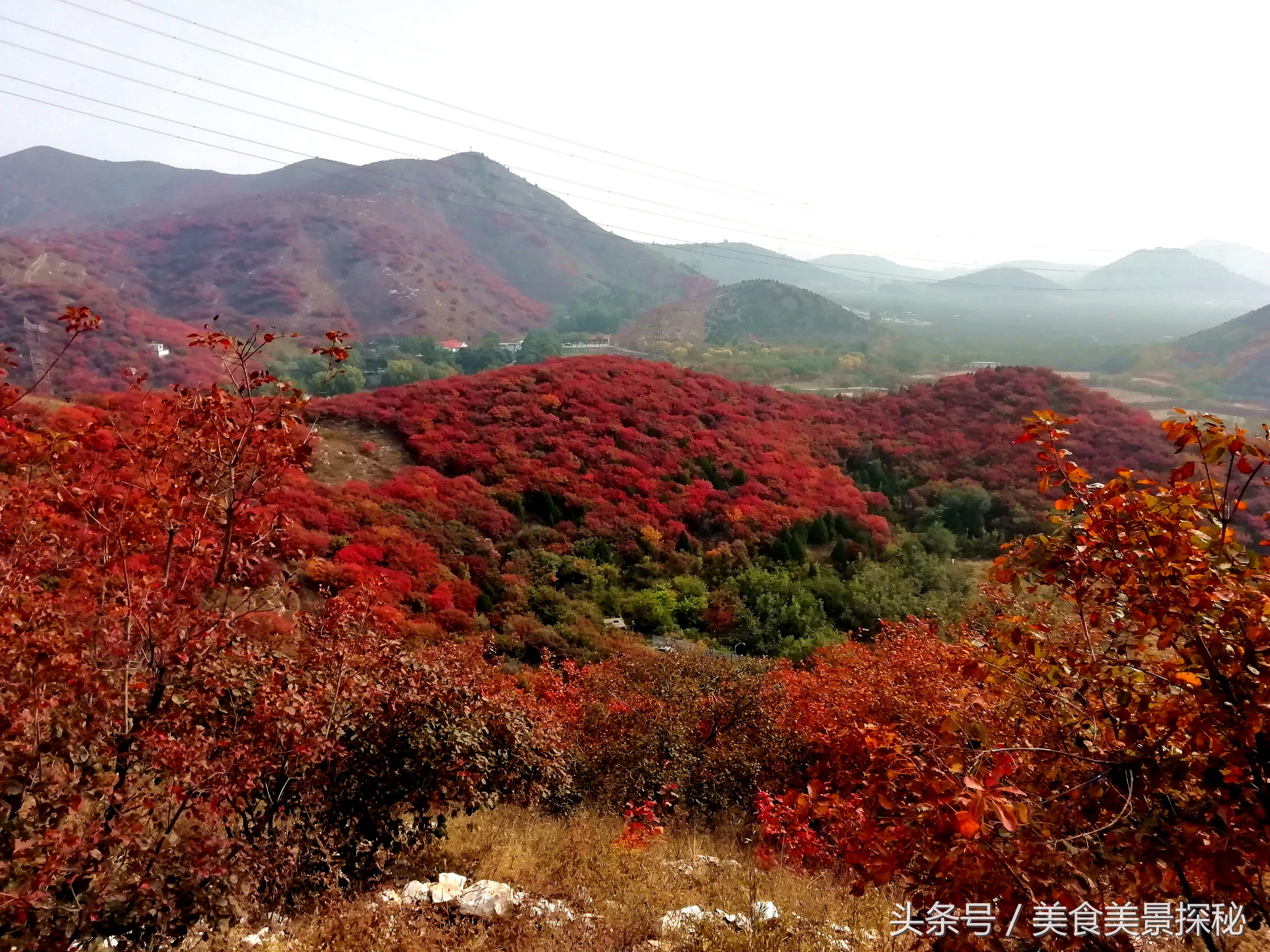 赏红叶何须去香山,赏红叶除了香山还能去哪