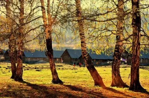 网购新疆为什么不包邮,为什么在网上买东西新疆不包邮