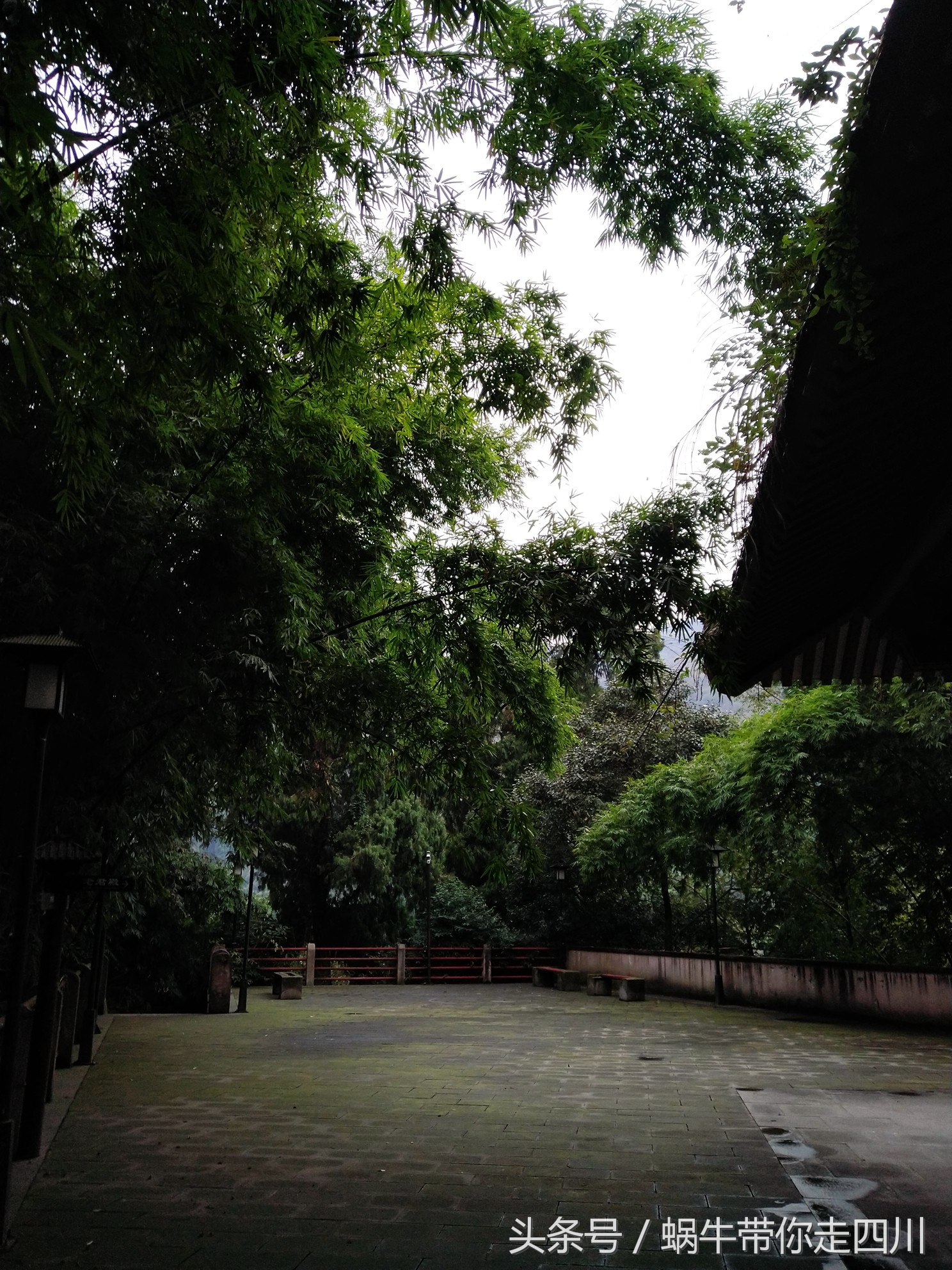 成都西岭雪山玩一天大概多少钱,成都西岭雪山旅游一日游报团