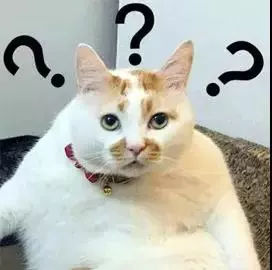 全国最魔性的方言东北话,最难懂的方言中国方言排行榜