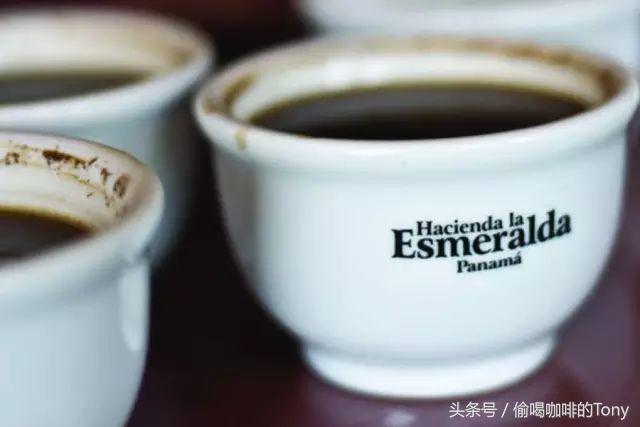 2020世界最贵的十大咖啡排行榜,最好喝的名贵咖啡