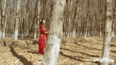 大疆哈苏大片,大疆120倍变焦版