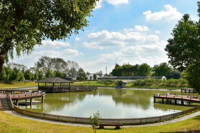 探秘2500亩魔都后花园!欧式别墅独栋、宠物乐园、动物农场高尔夫