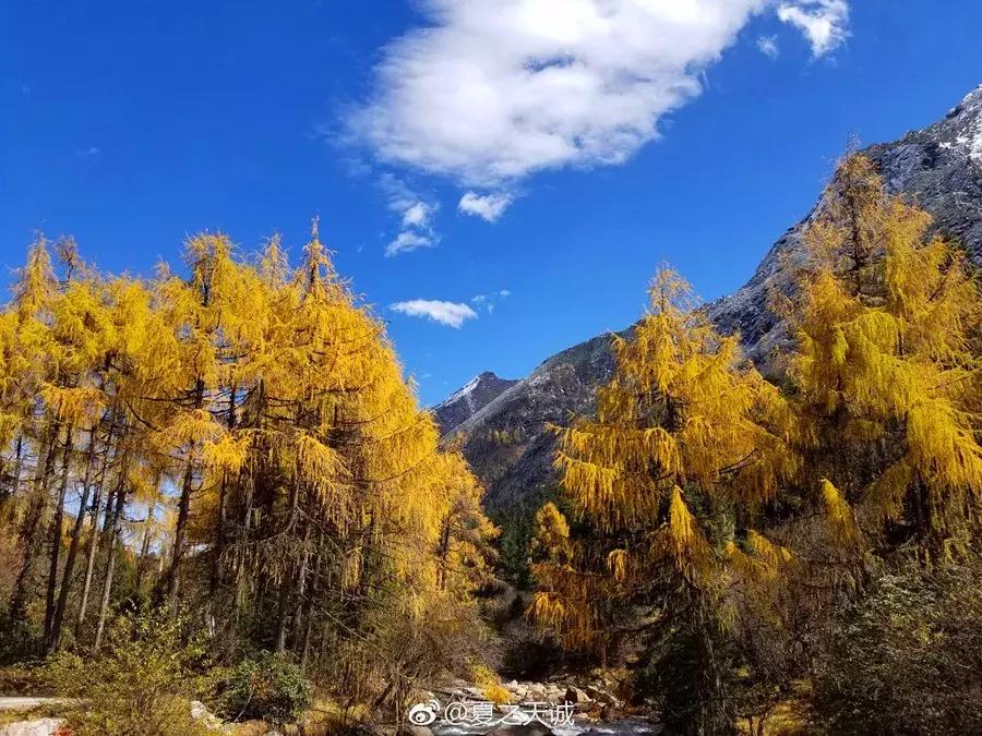 阿坝赏秋一日游,带你看阿坝州秋天的美景