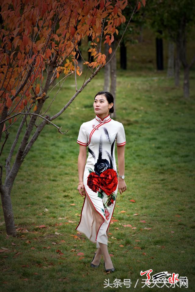 天水麦积菊展,金秋菊展日记